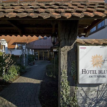 Hotel Blume Freiburg im Breisgau Kültér fotó