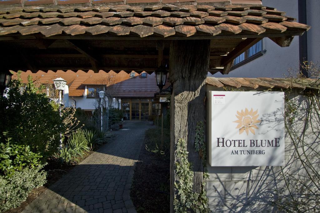 Hotel Blume Freiburg im Breisgau Kültér fotó